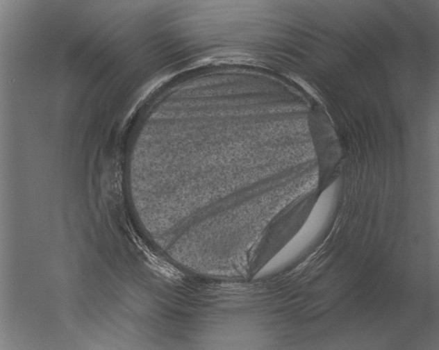 X0000060221115200511241232