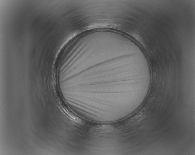 X0000060221119200511241232