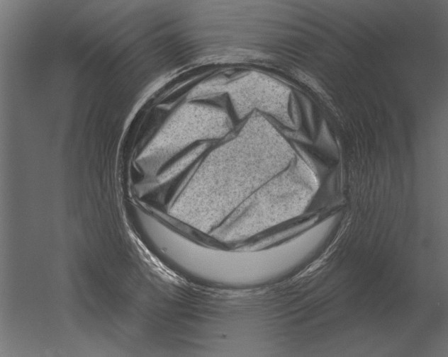 X0000060221122200511241232