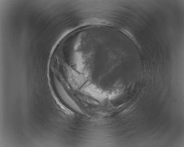 X0000060221128200511241232