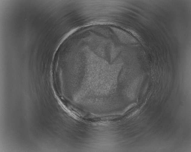 X0000060221134200511241232