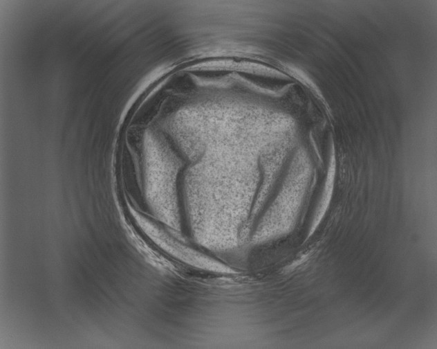X0000060221138200511241232