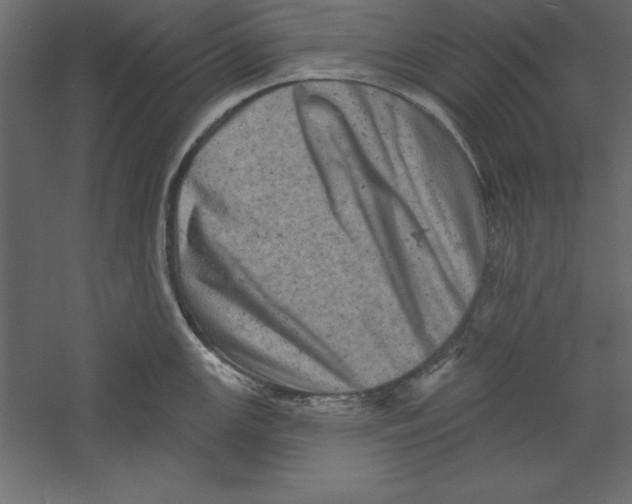 X0000060221147200511241232