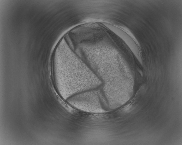 X0000060221148200511241232