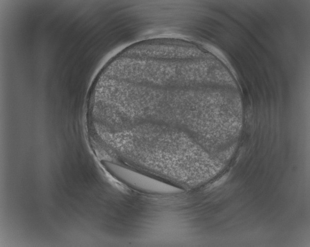 X0000060221149200511241232