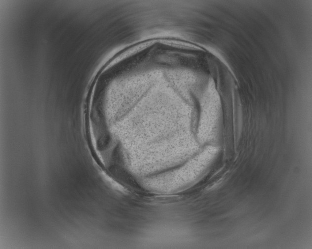 X0000060221151200511241232