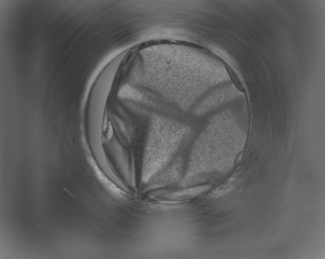 X0000060221152200511241232