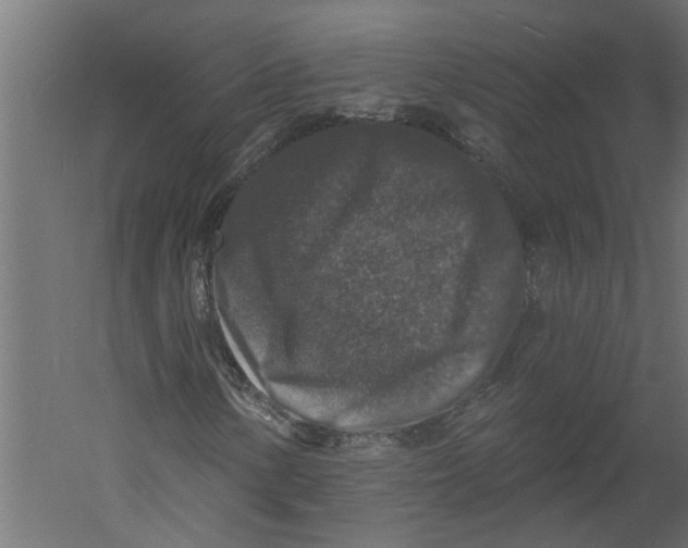 X0000060221154200511241232
