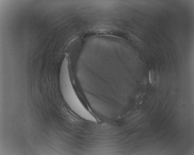 X0000060221155200511241232