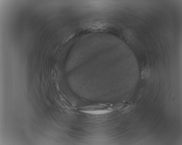 X0000060221156200511241232