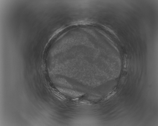 X0000060221160200511241232