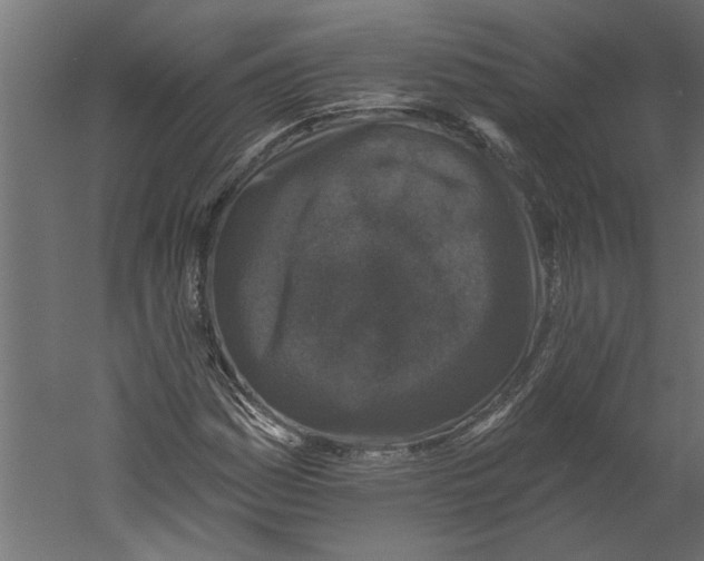 X0000060221161200511241232