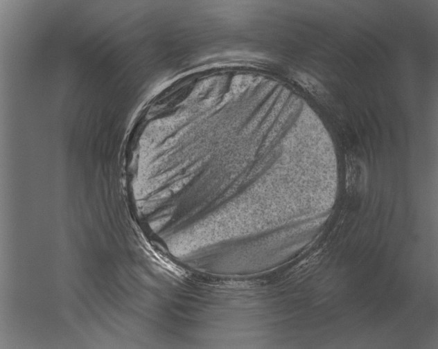 X0000060221164200511241231