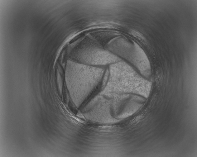 X0000060221172200511241231