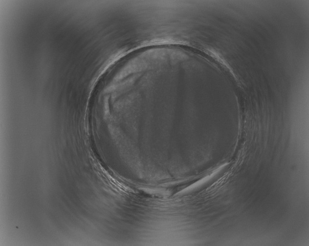 X0000060221173200511241231