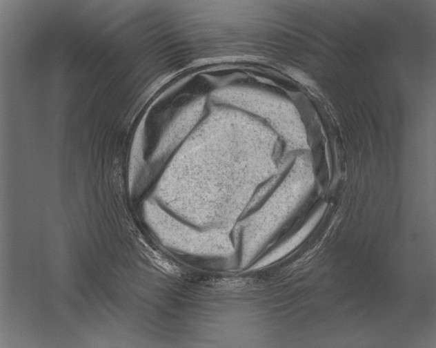 X0000060221177200511241231