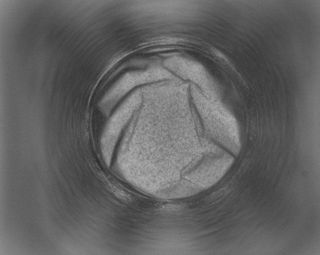 X0000060221178200511241231
