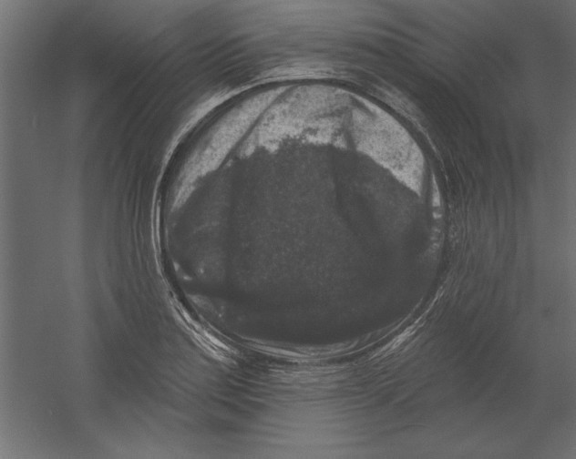 X0000060221179200511241231