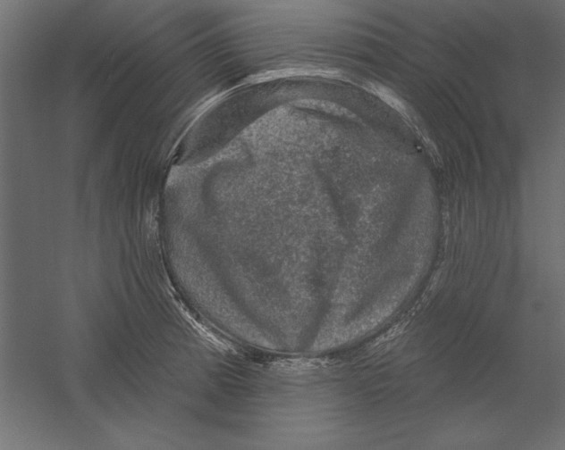 X0000060221185200511241231