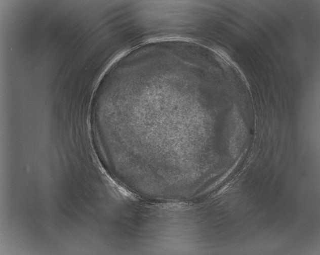 X0000060221189200511241231
