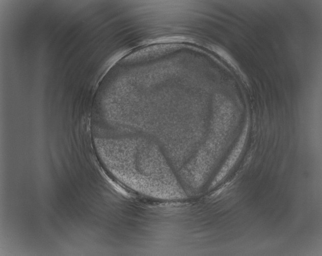 X0000060221193200511241231