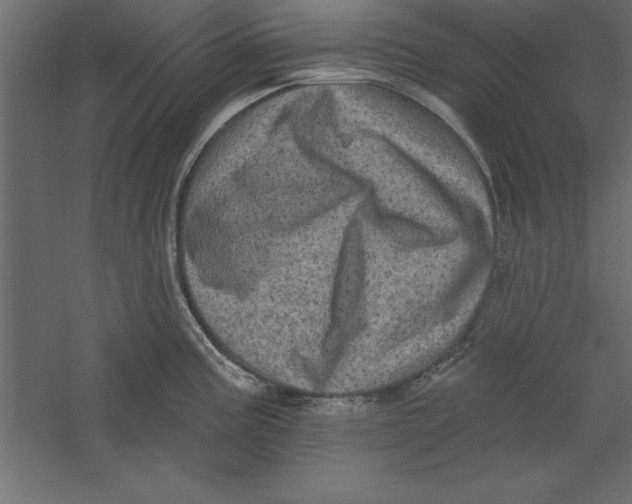 X0000060221195200511241231