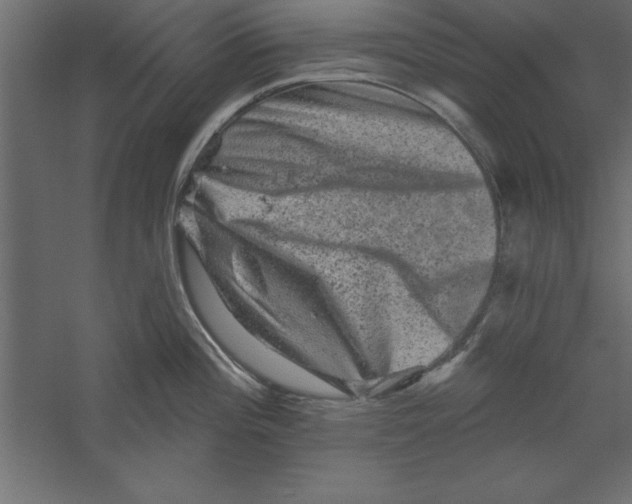 X0000060221196200511241231