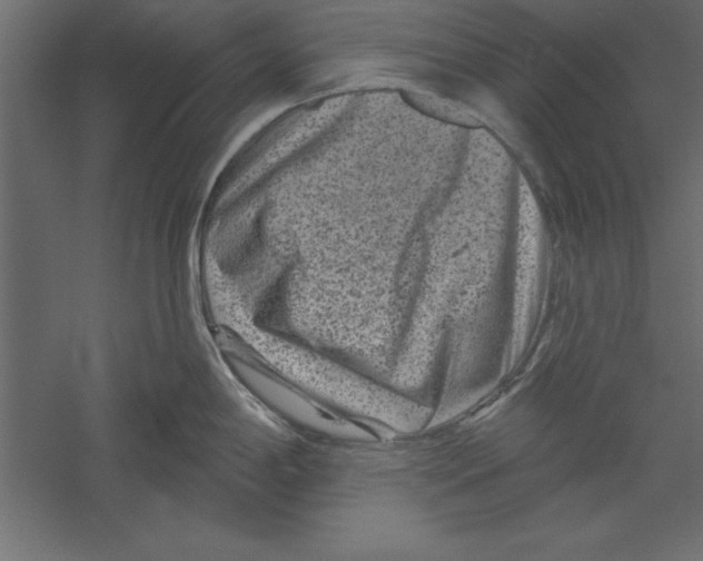X0000060221198200511241231