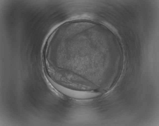 X0000060221200200511241231