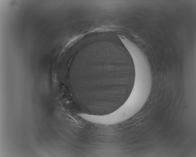 X0000060221206200511241230