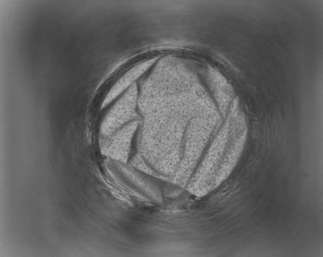 X0000060221208200511241230