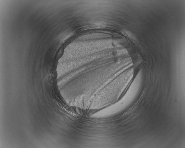 X0000060221210200511241230