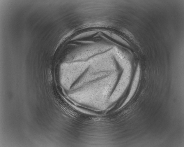 X0000060221218200511241230