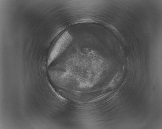 X0000060221225200511241230