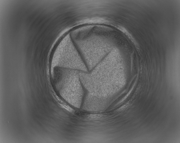 X0000060221232200511241231