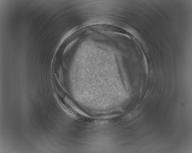 X0000060221242200511241231