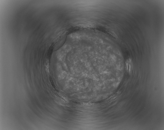 X0000060221251200511241230