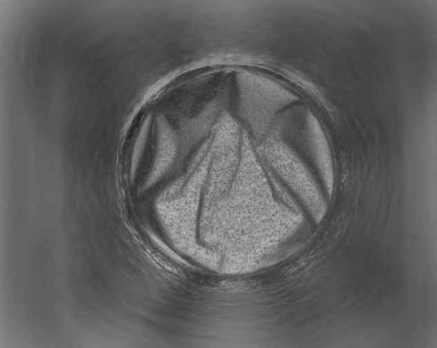 X0000060221264200511241230