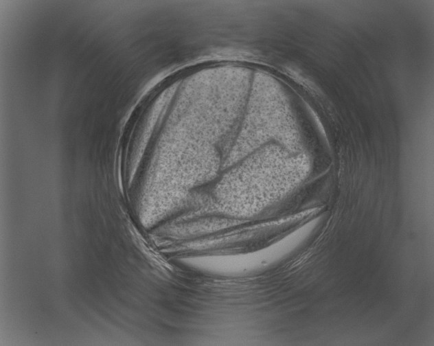 X0000060221272200511241230