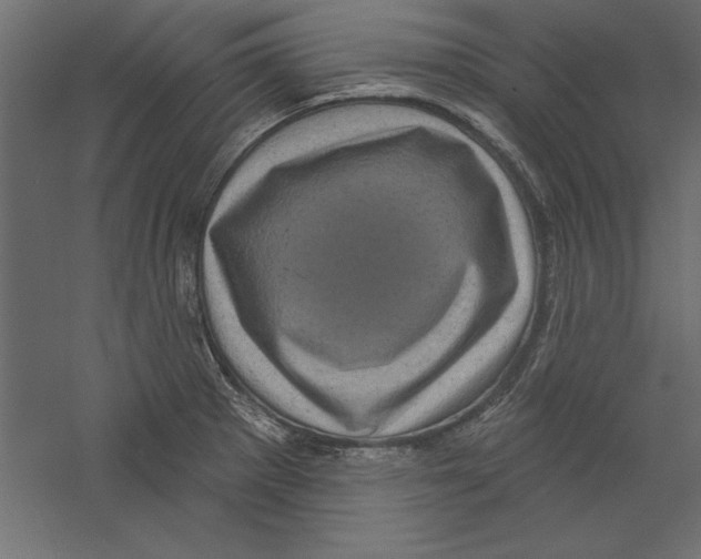 X0000060221281200511241229
