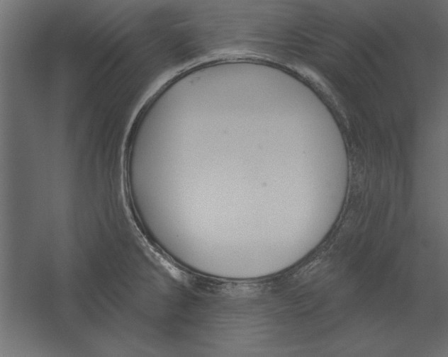 X0000060221286200511241229