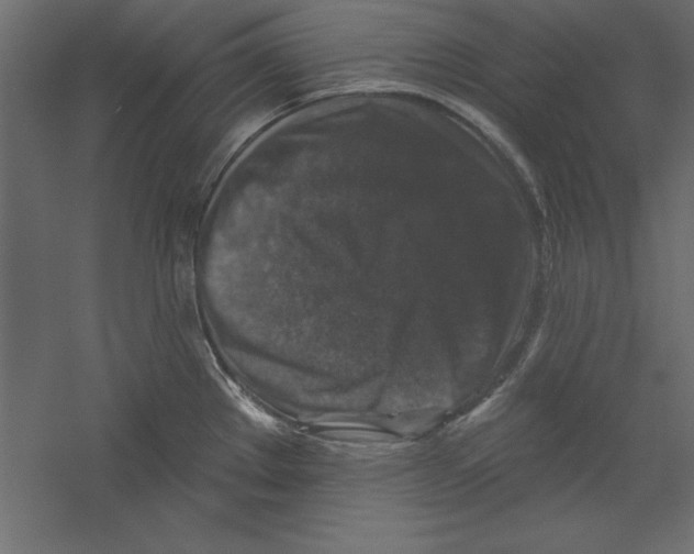 X0000060221289200511241229