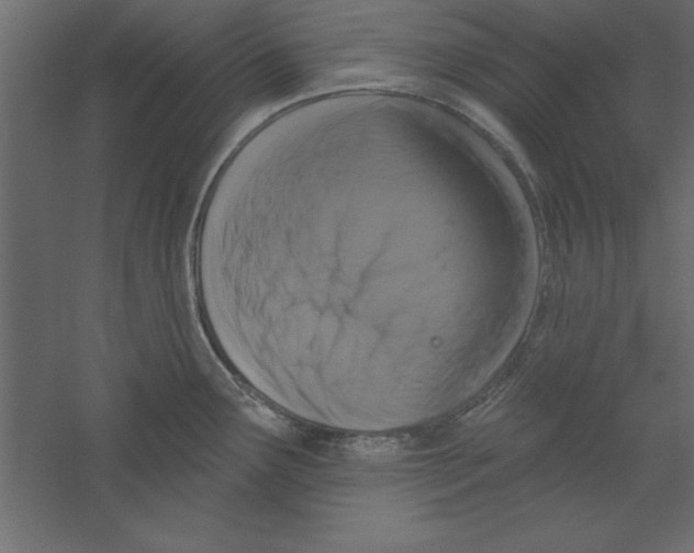 X0000060221291200511241229