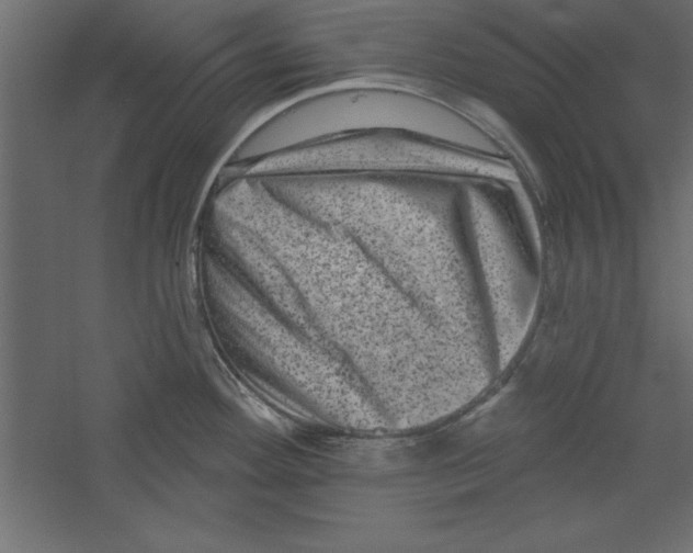 X0000060221292200511241229
