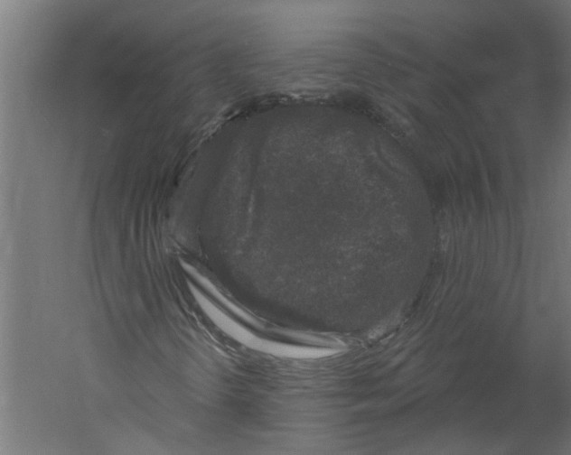 X0000060221298200511241228