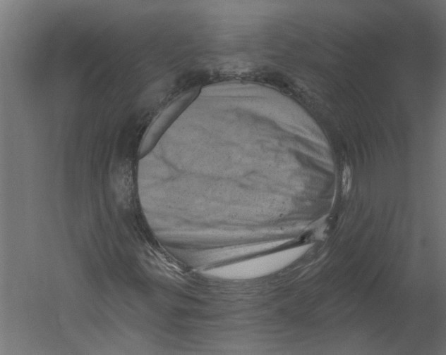 X0000060221299200511241228