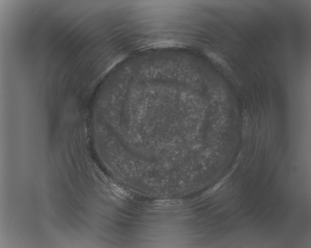 X0000060221305200511241228
