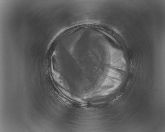 X0000060221310200511241229