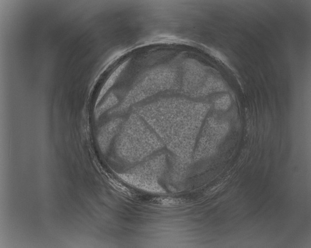 X0000060221318200511241229