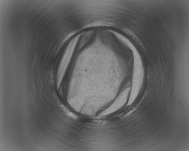 X0000060221321200511241229